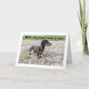 Search for smells cards Photography