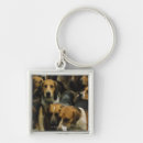 Search for group of animals key rings Outdoors