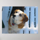 Search for bound posters Dog