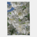 Search for white blossom Branch
