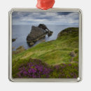 Search for landforms christmas tree decorations Atlantic ocean