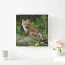 Search for fox pups posters Mammal