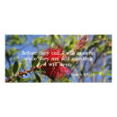 Search for red rack cards Floral