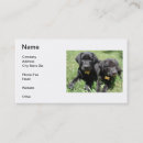Search for labrador retriever business cards Black