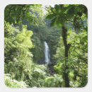 Search for tropical rainforest stickers Nature