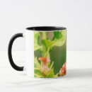 Search for eastern tiger swallowtail mugs Flower