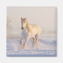 Search for horse lovers magnets Pony