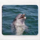Search for swim mousepads Dolphins
