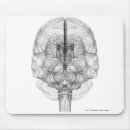 Search for human brain mousepads Part