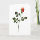 Search for stems cards Flower