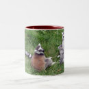 Search for ring tailed lemur mugs Lemurs
