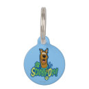 Search for dog supplies Scooby doo