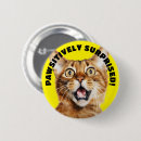 Search for surprise badges Funny