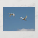 Search for dorset uk postcards Britain
