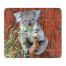 Search for koala cookware Australian