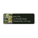 Search for black bear return address labels Forest