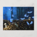 Search for pretty blue butterflies postcards Beautiful
