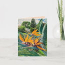 Search for birds of paradise note cards Garden