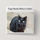 Search for trapped badges Cats
