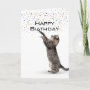 Search for tabby cat birthday cards Kitty