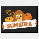 Search for orangutans magnets Indonesia