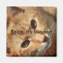 Search for cat quotes magnets Kitty