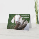 Search for funny goat sayings postcards Co worker