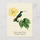 Search for natural history postcards Vintage