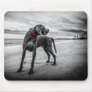 Search for red and black mousepads Photograph