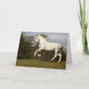 Search for leaping cards Horse