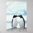 Search for beaks posters Penguin