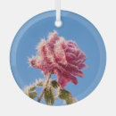 Search for frost christmas tree decorations Winter