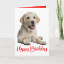 Search for yellow labrador birthday cards Dog