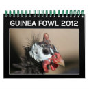 Search for guinea fowl Poultry