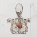 Search for complexity postcards Healthcare
