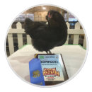 Search for chicken knobs and pulls Poultry