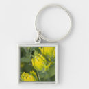 Search for paintbrush key rings Yellow