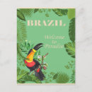 Search for brazil toucan postcards Vintage