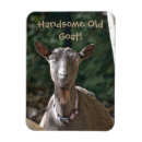 Search for old rectangular magnets Humour