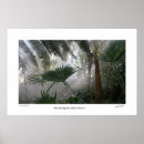 Search for jungle art Rain