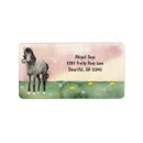 Search for dapple grey Cute