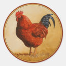Search for red rooster stickers Chicken