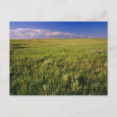 Search for remote postcards No people