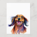 Search for dachshund daddy postcards Funny