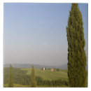Search for cypress tiles Tuscany