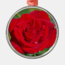 Search for red rose christmas tree decorations Flower