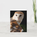 Search for alba cards Bird of prey
