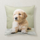 Search for couch cushions Cute