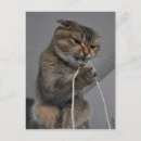 Search for floss postcards Teeth