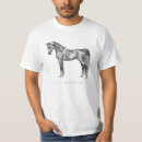 Search for dappled tshirts Horses